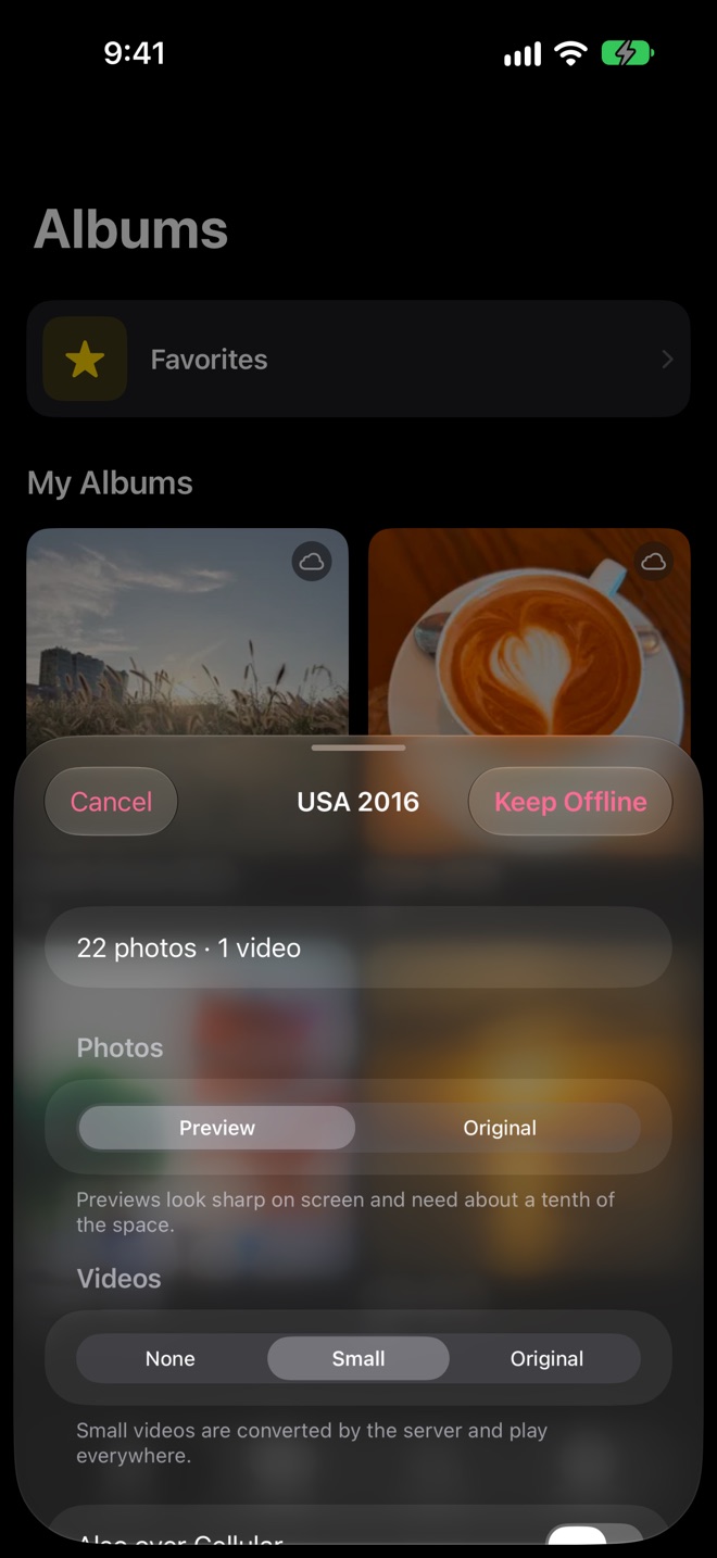 Keep an album offline